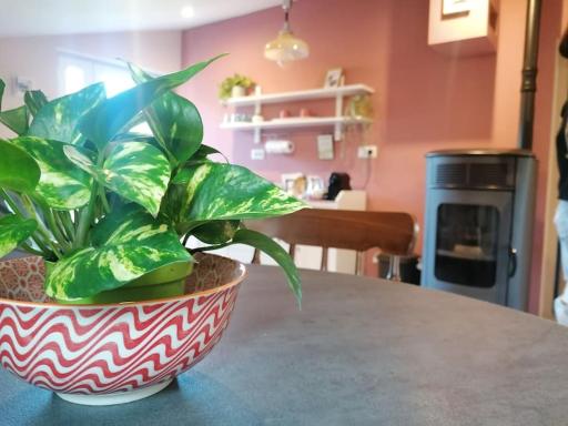 La soffitta di Anita - Housity