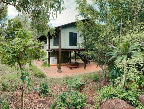The Treehouse Darwin - Housity