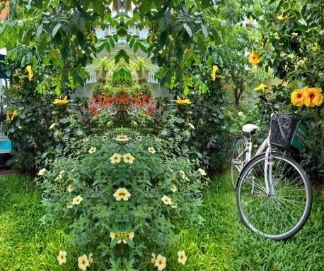 Star Garden Hoi An - Housity