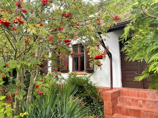 Apple Tree House - Housity