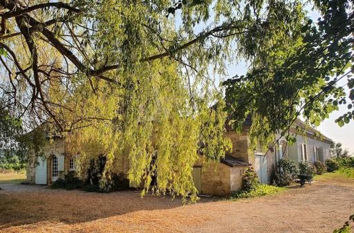Clair de Vigne - Housity