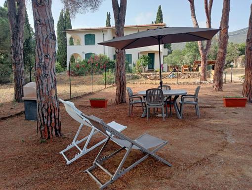 Riccio di Mare - Housity