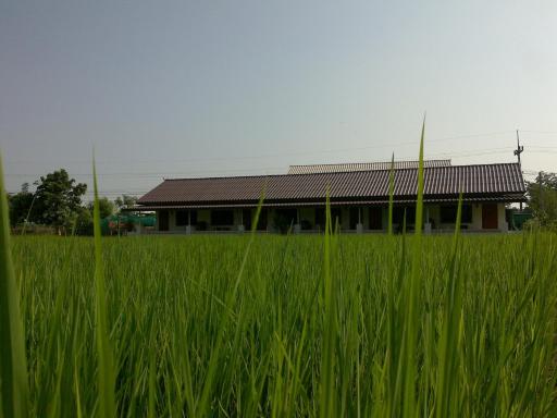 Ban Lom Jen Homestay - Housity