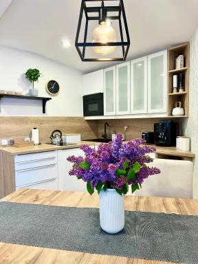 Apartmán DOME C - Hizvo