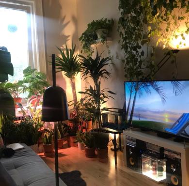 Urban Jungle Oasis in Queens! - Housity