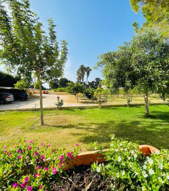 Tenuta Angelini Apartments - Housity