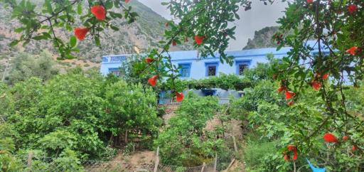 Blue Town House - Housity