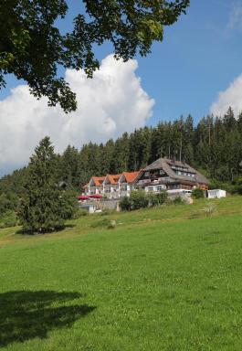 JUFA Hotel Schwarzwald - Housity