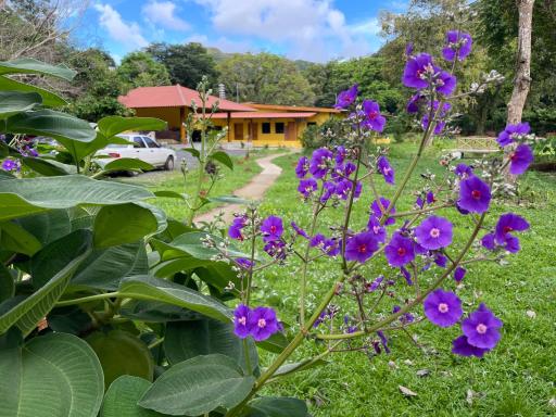 El Valle Resort & Spa - Aguas Termales - Housity