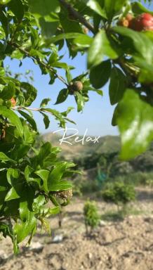 Casa vacanze Sicilia - Housity