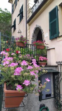 La Casa Dell'Arco - Housity