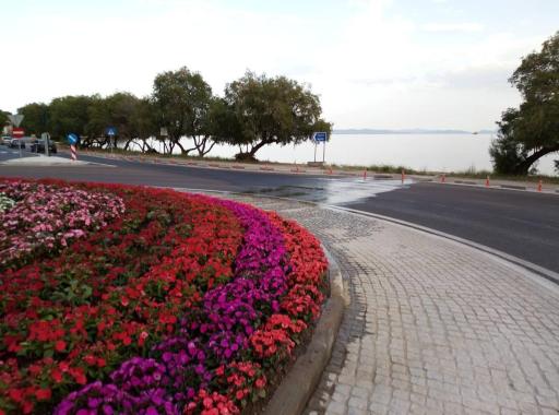 SMALL COTTAGE ASTERIA - Housity