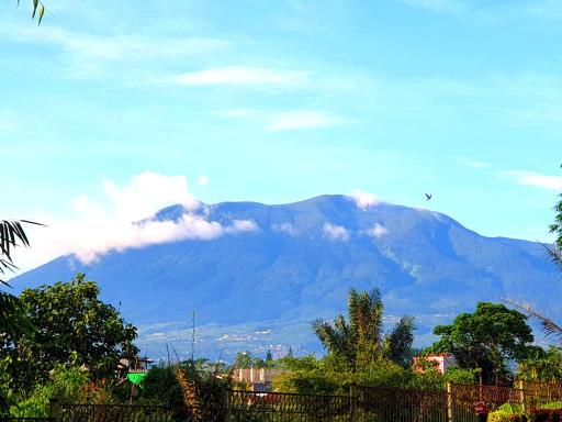 Villa Miky Kota Bunga Puncak Cianjur Bogor - Housity