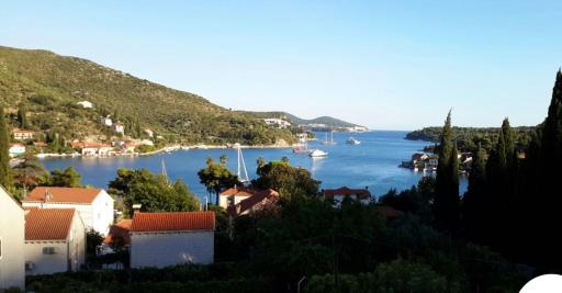 Apartmani ljuta naranča - Housity