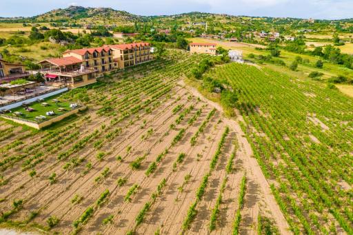 Dessera Vineyards Hotel - Housity