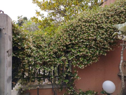 Casabella Mondello - Housity
