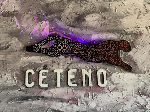 Hotel Ceteno - Housity