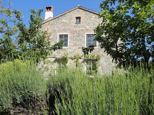 A lovely house in Vipava valley - Housity