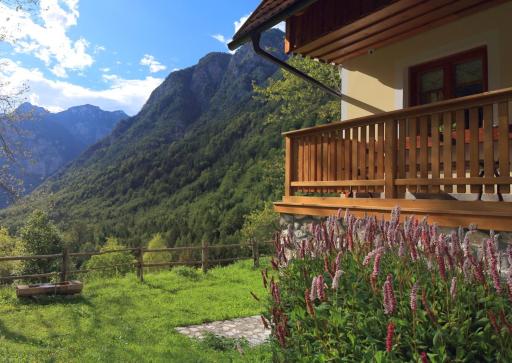 Zadnjica Holiday House - Housity