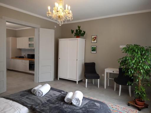 Dragos Voda Apartment Cluj - Housity