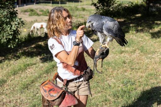 L'Aquila e L'Ulivo - Housity