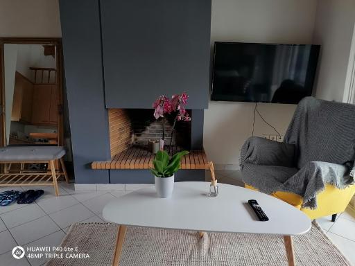 Beach n Fun BBQ Fireplace - Housity
