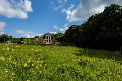 Beautiful 1 bed Glamping pod in Battle - Housity