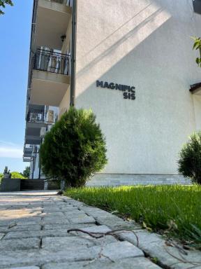 Magnific Sis - Housity