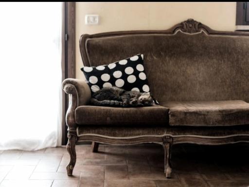 Una Casa Bottega - Housity