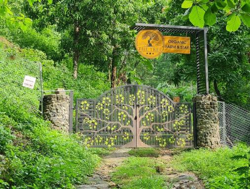 The Tree Organic Farm and Stay - Non Alcoholic Property - Housity