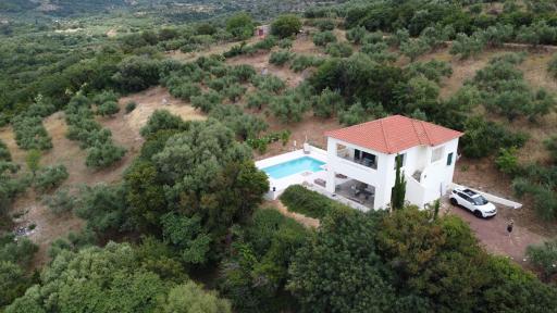 Kyparissia De Wandelboom - Housity