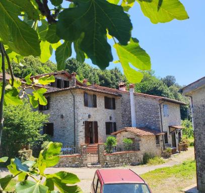 Cara House Tuscany - Zona Lucca - Housity