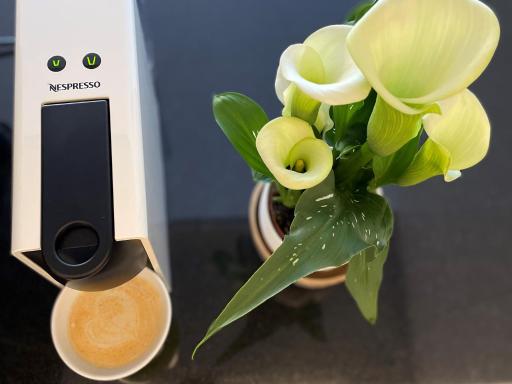 Modern renoviert mit Hallenbad + Fitness - Housity