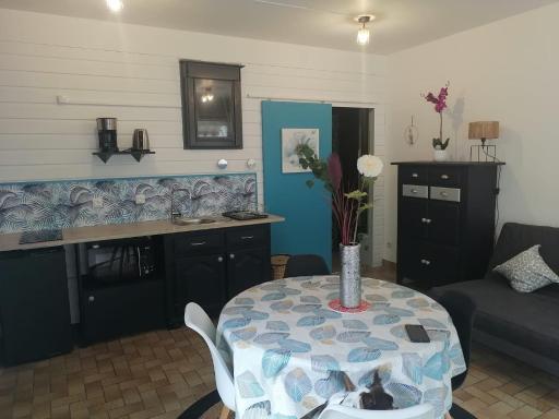 Gîte cosy la Mosaïque, à Selles-sur-Cher, 15 mn du zoo Beauval - Housity