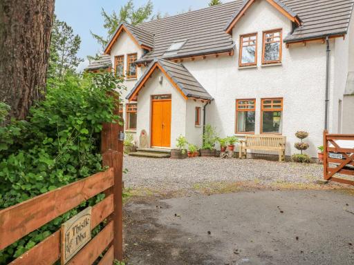 Thistle Dhu - Housity