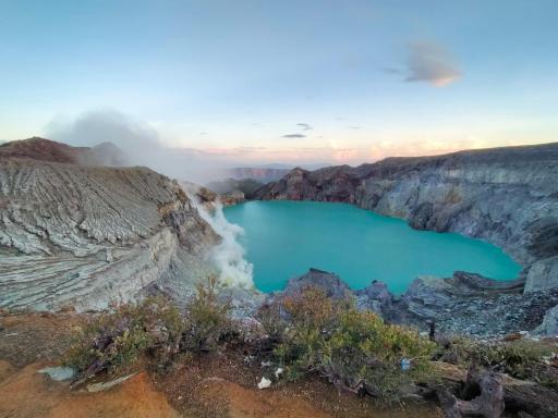 Javalindra Homestay and Banyuwangi Tour - Housity