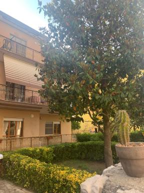Casa Portogallo - Hizvo