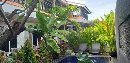 PD Bali Guesthouse - Housity