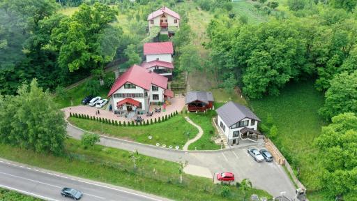 Stejarul lui Andrei - Housity