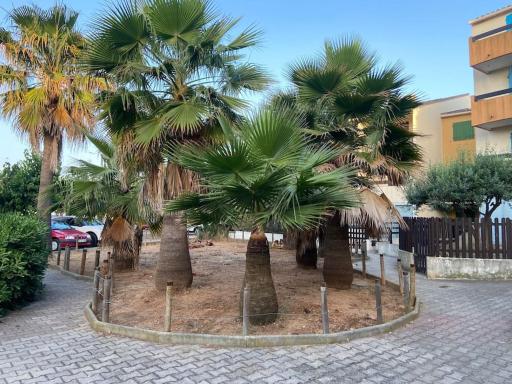 Camargue Village Sun and Beach #2 - Housity