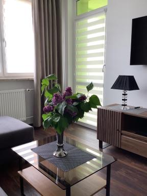 Pogodne Centrum - Housity