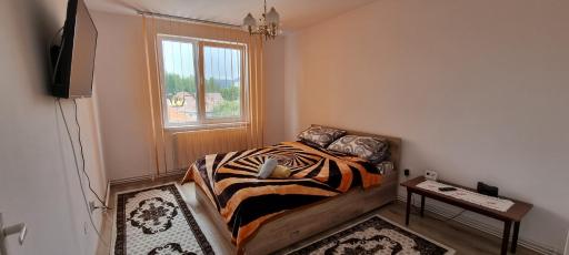 Lovely 1 bedroom apartment in Miercurea Ciuc - Housity