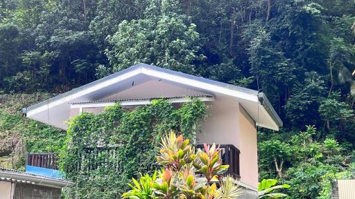 Matatia Lodge - Housity