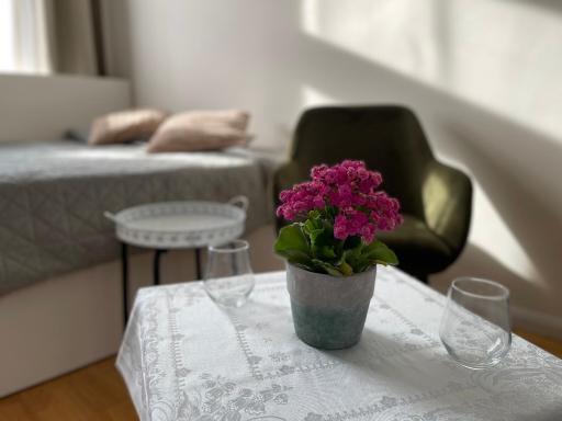 Luxurious studio Casa Royal Prague - Housity