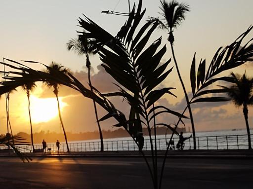 Kitnets com AR Condicionado na Praia - Housity