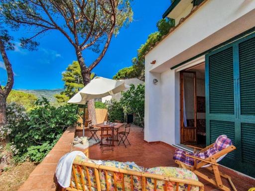 Trilocale La Pineta Quiet garden - Housity