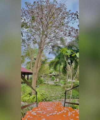 Keith Ratchaburi - Housity