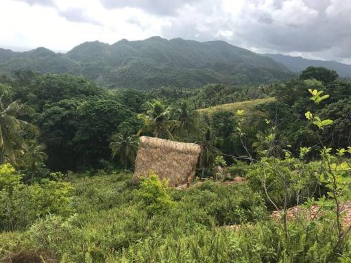 Sea view Casita- Eco- Sustainable green project ! - Housity