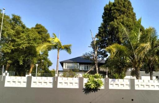 The green room in Muckleneuk, Pretoria - Housity