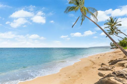 Exquisite Mokuleia Beach Cottage - Housity